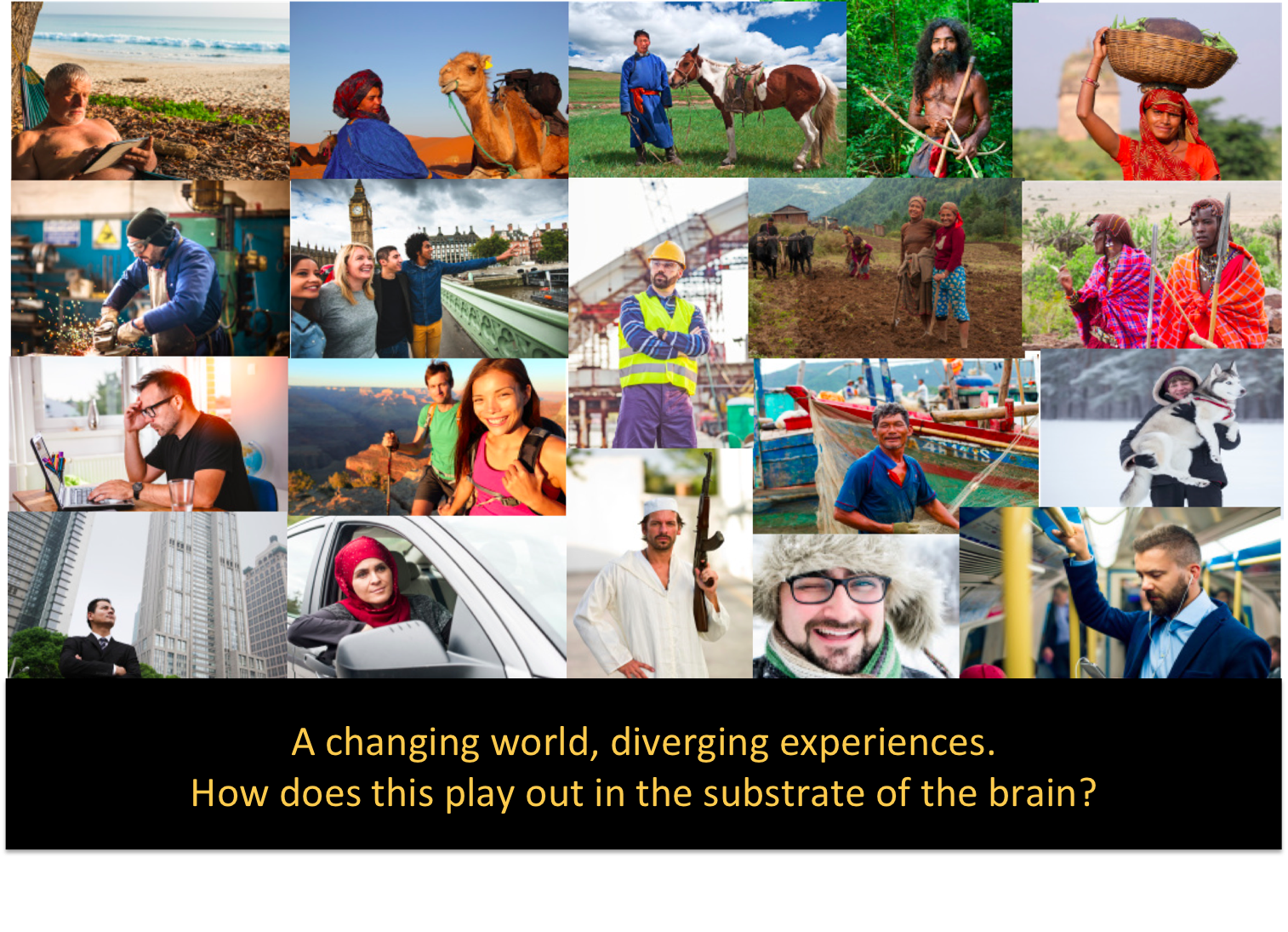 Introducing the Human Brain Diversity Project