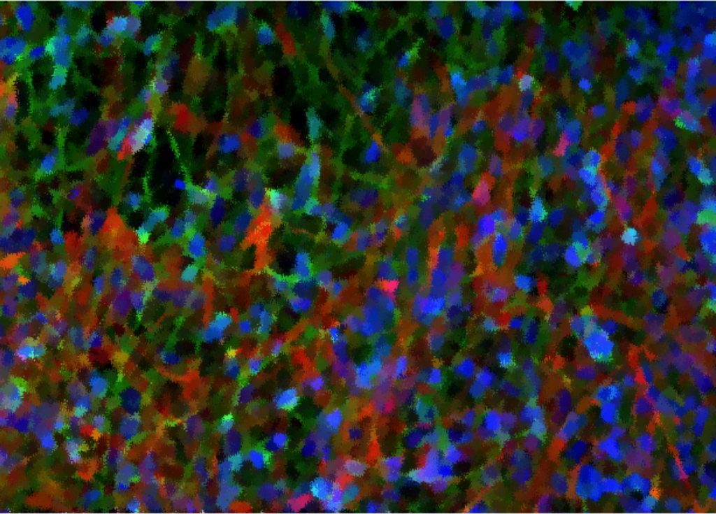 Your Brain's Mosaic Sapien Labs Neuroscience Human Brain