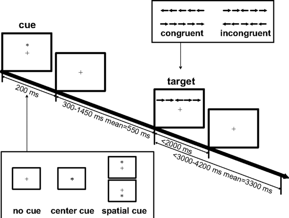 Many Ways to Measure Attention - Sapien Labs | Neuroscience | Human ...