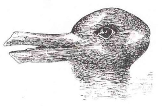 rabbit_duck