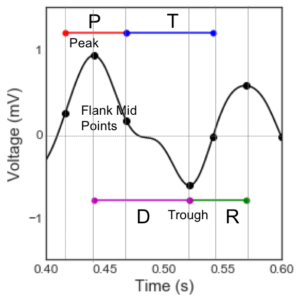 peak-trough-rise-decay-symmetry