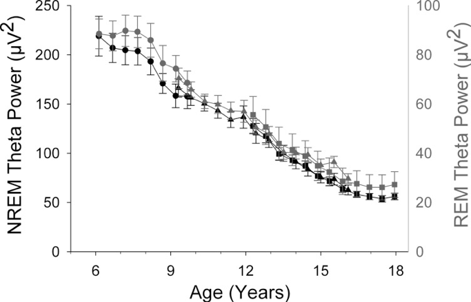 The Adolescent Brain - Sapien Labs | Shaping the Future of Mind Health