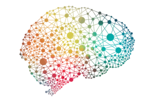 brain network coherence