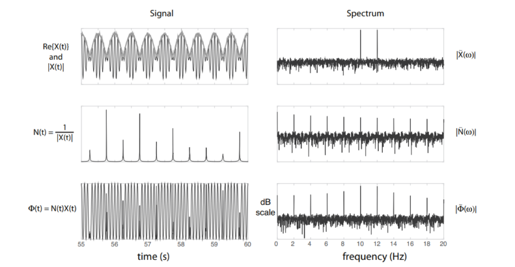 Assessing Connectivity with Phase Locking Value Sapien Labs