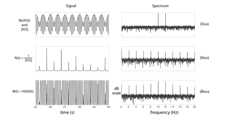 Assessing Connectivity with Phase Locking Value - Sapien Labs | Shaping ...