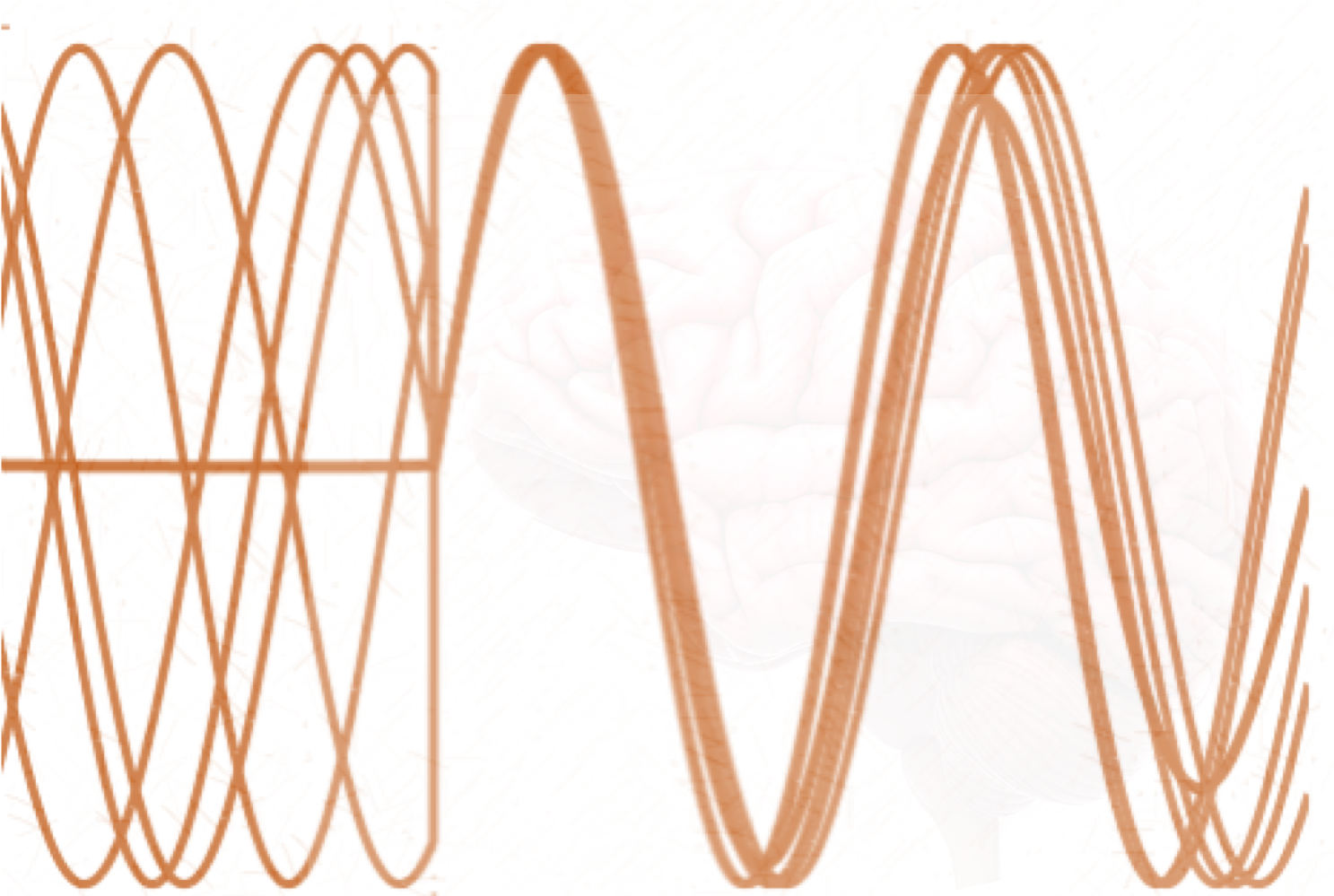 assessing-connectivity-with-phase-locking-value-sapien-labs