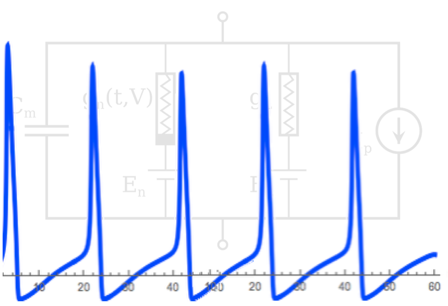 Two Successful Theories in Biology