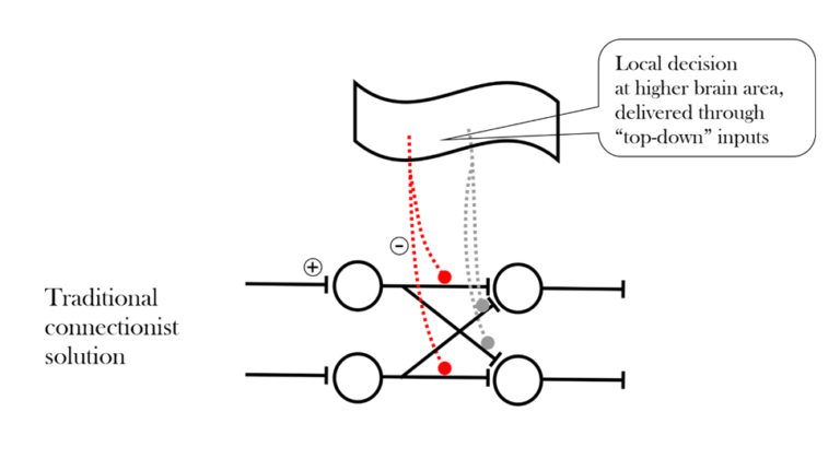 Explaining Flexible Information Routing in the Brain - Sapien Labs ...