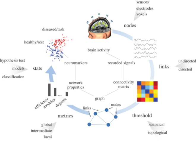 A Primer on the Application of Graph Theory to EEG - Sapien Labs ...