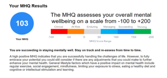 MHQ Assessment