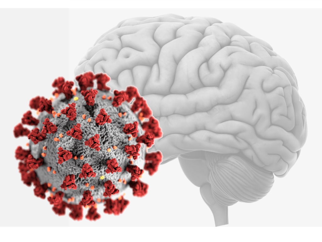 Viral Infections And Depression - Sapien Labs 