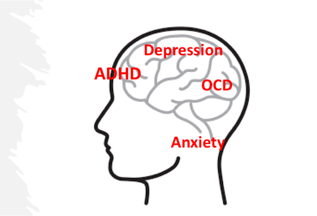 The Vast Comorbidities Of Mental Health Disorders | Sapien Labs ...