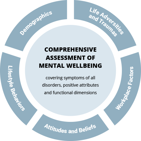 THE WORKFORCE MHQ: A Comprehensive Whole Person Assessment of Mental Wellbeing