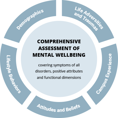 THE STUDENT MHQ: A COMPREHENSIVE WHOLE PERSON ASSESSMENT OF MENTAL WELLBEING