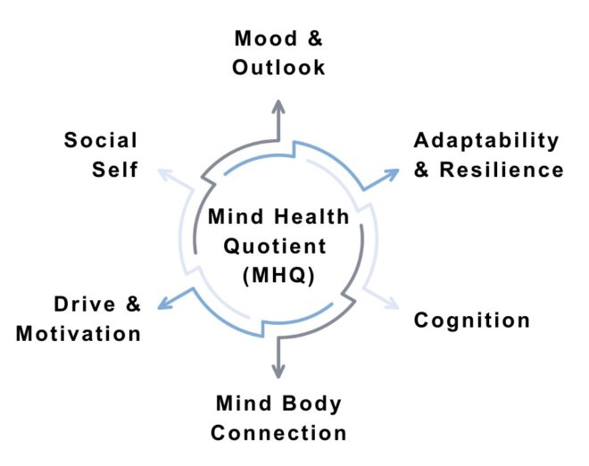 What is Mental Wellbeing? Sapien Labs